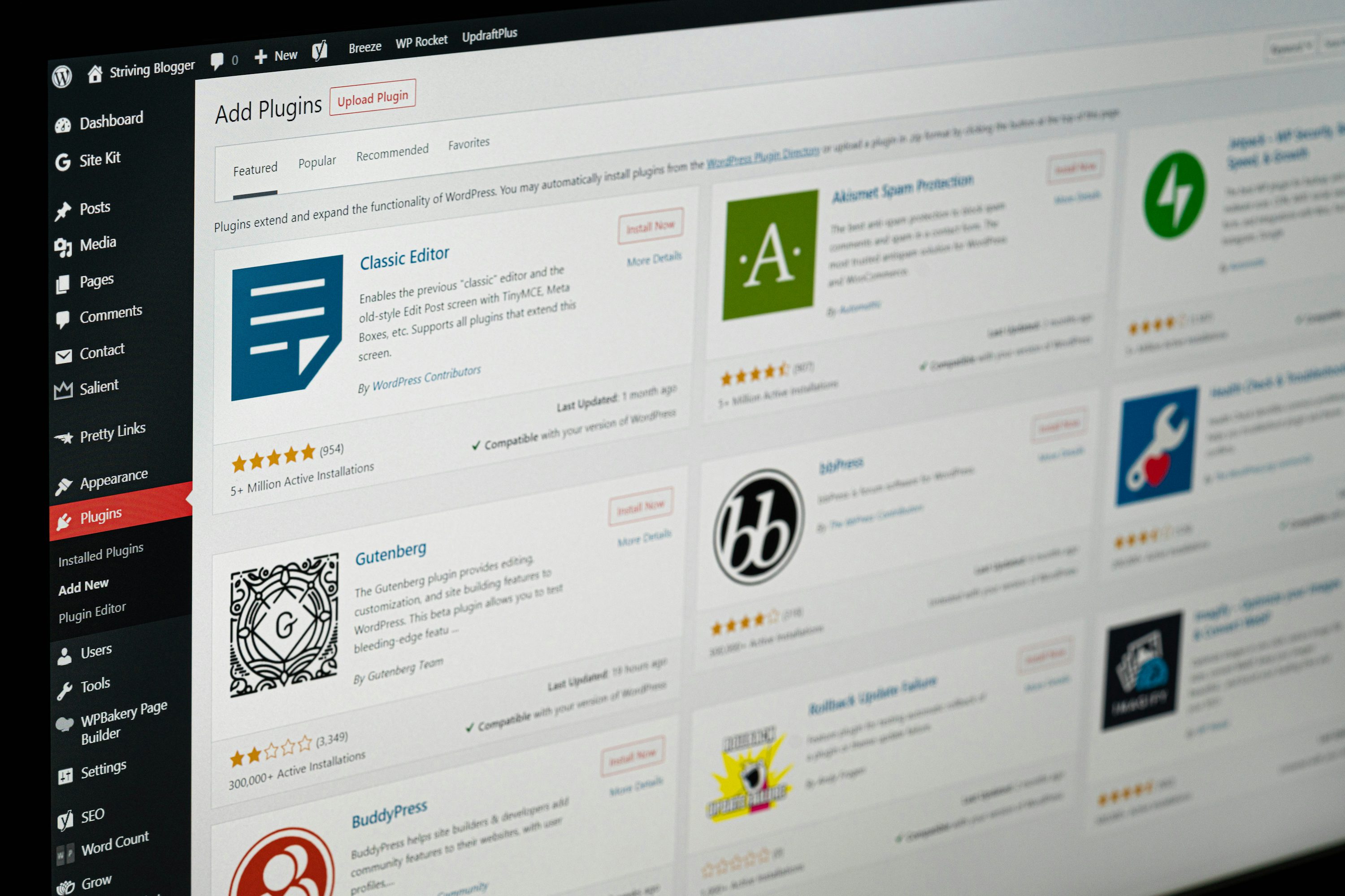 WordPress Website